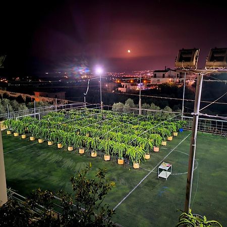Villa Koulouridi Daratsos ภายนอก รูปภาพ